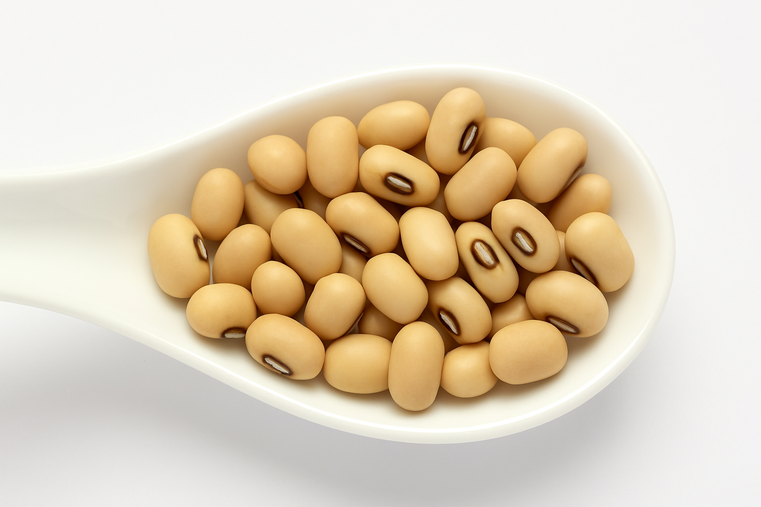 Tanzanian Soya Beans
